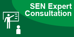 SEN Expert Consultation